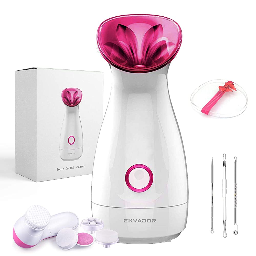 Facial Nano Steamer